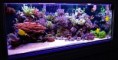 /album/inspiracie/akvarium16-jpg/
